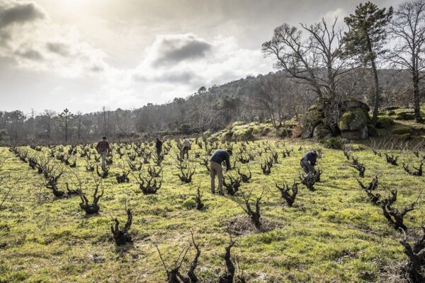 Imatge il·lustrativa