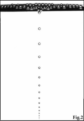 rosari i corona r marc