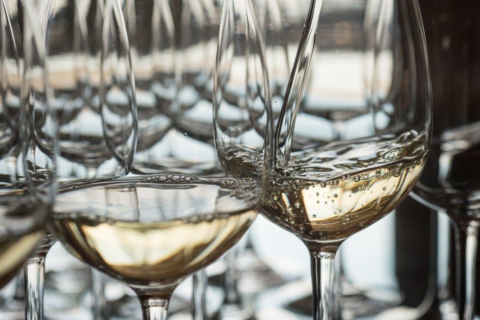 990 1473235279 Bodegues Torres 2016 068 e1686909862536