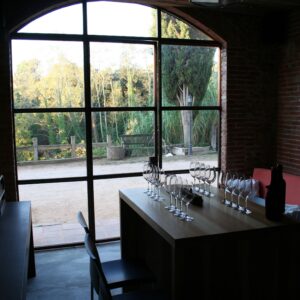 Can Tomàs Bassa, Xavier Bassa i Valls, Vigood