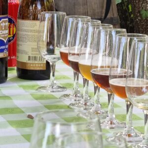 cata de cervezas a domicilio xavier bassa IMG 20220522 WA0039