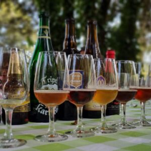 tast de cerveses a la masia, Cata de cervezas en la masia