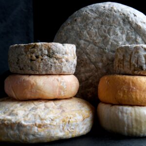 cata de quesos tast de formatges xavier bassa ry 017