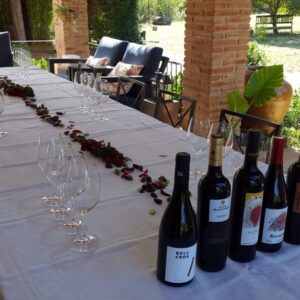 Pícnic porxo masia can tomàs