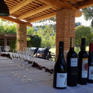 tast de vins a la masia, cata de vinos en la masia
