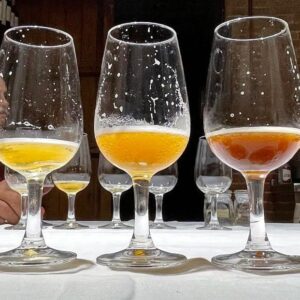 tast de cerveses, cata de cervezas a domicilio