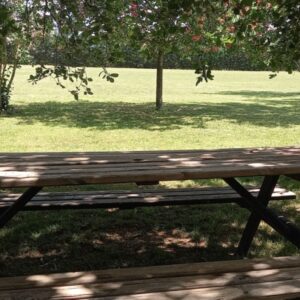 picnic can tomas bassa 3911