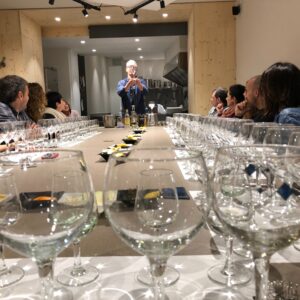 taller de gintonics a domicili, cata de gintonics a domicilio