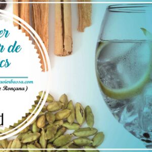 val regal taller de gintonic, vale regalo taller de gintonics