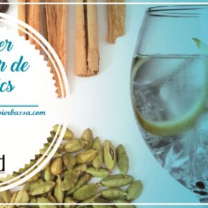 val regal taller de gintonic a domicilio, vale regalo taller de gintonics