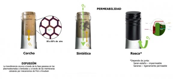 576 1694600126graf 2