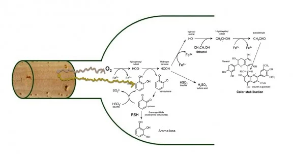 576 1694600138graf 3