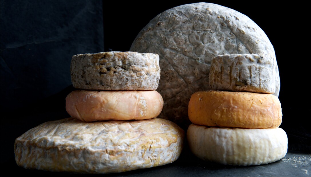 tast formatges cata de quesos xavier bassa017r22