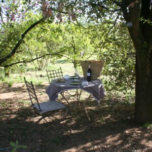 Pícnic sota l'alzina a la masia de can Tomàs