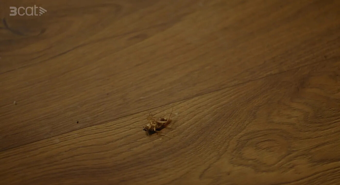 El restaurant més romàntic de Barcelona