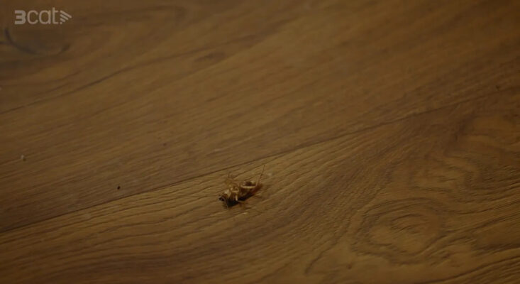 El restaurant més romàntic de Barcelona